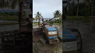 Naa inaikku tractor ootitengaa🥳🚜shots farming [upl. by Oirobil225]