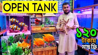 Aquarium Price In Bangladesh। Aquarium Fish Price In katabon। Aquarium Fish Price In Bangladesh [upl. by Teagan232]