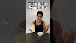 Will Mastic Gum FIX YOUR GUT [upl. by Aylmer450]