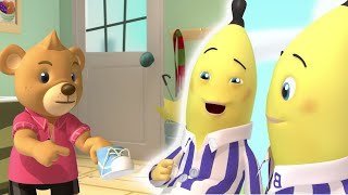 Morgans Smelly Sneakers  Bananas in Pyjamas Season 1  Full Episodes  Bananas In Pyjamas [upl. by Enomes]