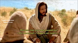 Évangile de Jésus Christ  Matthieu 7 1520 « On reconnaît l’arbre à ses fruits… » [upl. by Ecirted]