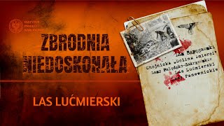 Las Lućmierski – cykl Zbrodnia niedoskonała 35 [upl. by Fennell558]