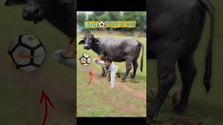 Ball⚽Ground में गिरने से बचाओ3😱🤯 comedy football [upl. by Marjorie]