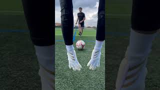 Goalkeeper ASMR  Adidas Predator Pro 🧤goalkeeperglove goalkeeper gardiendebut viral adidas [upl. by Laurentia747]