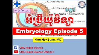 អំប្រ៊ីយ៉ូវិទ្យា វគ្គទី៥Embryology Episode 5 l CML Health Science Official [upl. by Elleirol]