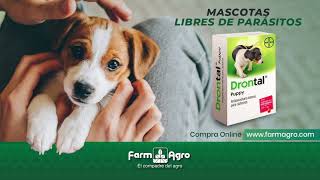 DrontalPuppy Antiparasitario para cachorros [upl. by Akimed791]