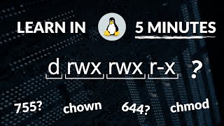 Linux File Permissions in 5 Minutes  MUST Know [upl. by Honeywell439]