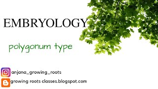 EMBRYOLOGY  Polygonum Type Embryosac Development Mayalam Explanation  BSc Botany [upl. by Whitman]