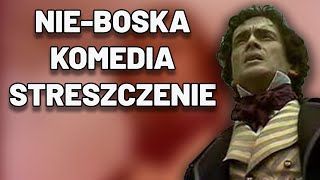 NieBoska Komedia  Streszczenie Egzamin Matura Katrkówka Sprawdzian [upl. by Giacobo758]