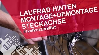 Fahrrad Hinterrad mit Steckachse ausbauen amp einbauen  fxxlkurzerklärt [upl. by Analaf]