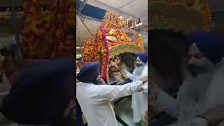 Sukhasan At Golden Temple  Sukhasan Guru Granth Sahib Golden Temple  Palki Sahib Golden Temple [upl. by Archibold]