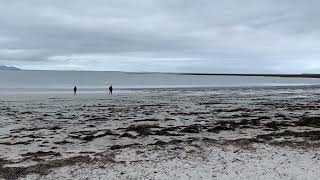 Fenit Island Strand Fishing spots CO Kerry [upl. by Ert38]