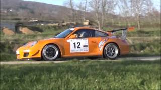 Rallye Pays Du Gier 2016 Show [upl. by Norrad]