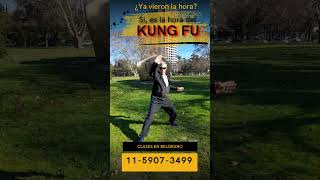 Técnica de Kung Fu claseskungfu martialarts kungfuargentina kungfutradicional [upl. by Akciret]