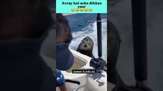 Are koi achcha dikhao yaar funny comedy video fish [upl. by Dlnaod925]