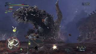 MHW radobaan capture w DB [upl. by Thayne850]