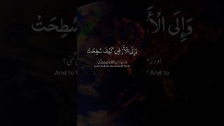 AL Quran Beautiful Recitation ❤️surah quranquranrecitationshortsfeed [upl. by Urial]