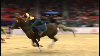 Mounted Games  Gothenburg Horse Show  2015 [upl. by Geithner]