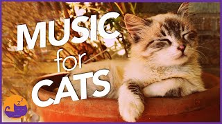 Magic Music for Cats  UNBELIEVABLE Results Tested 2022 [upl. by Airetnohs]