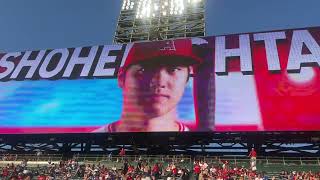 Angels Starting Lineup vs Dodgers 6202023 [upl. by Alvina]