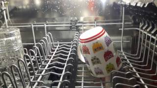 GoPro Camera Inside Electrolux dishwasher What Happens Inside a Running Dishwasher [upl. by Pancho312]