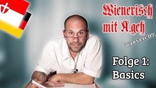 Wienerisch mit Ageh Wirklich  Folge 1 Basics [upl. by Beal]