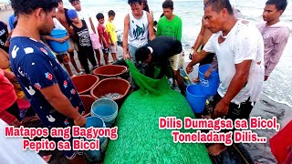 Bicol Region matapos ang Bagyong Pepito bumuhos ang Biyaya ng Diyos Toneladang Dilis nahuliSa Bicol [upl. by Pelletier871]