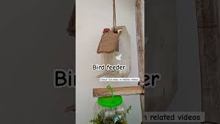 DIY Bird FeederHow to make bird feeder from plastic bottle birdfeeder birds garden [upl. by Zavras]