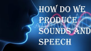 how do we produce voice and speech sounds  Phonetics  BA functional English  Calicut university [upl. by Edecrem]