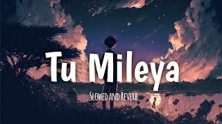 Tu Mileya  Darshan Raval  New Lofi Version  SlowedReverb  Mind Relex Mashup Music [upl. by Dreeda]