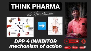 DPP 4 inhibitors mechanism of action [upl. by Windham]