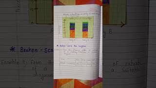 statistics economic chapter 6  Diagrammatic presentation  class 11  notes [upl. by Ordnasela]