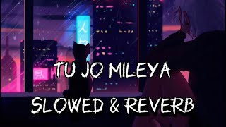 Tu Jo mileya SLOWED amp REVERB [upl. by Campball]