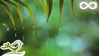 You amp Me Relaxing Piano Music amp Soft Rain Sounds For Sleep amp Relaxation by Peder B Helland [upl. by Eblehs]