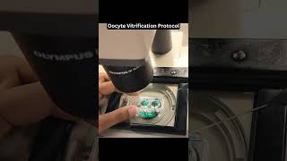 Oocyte Vitrification Protocol cryotec Method [upl. by Aicilegna]