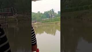 Youtube village Kushtiaforyou travel kushtia viralshot love song [upl. by Niatsirt]