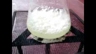 How to make Potassium Chlorate  KClO3  from bleach [upl. by Haikan]