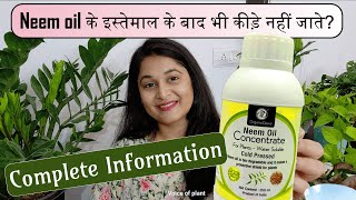 HOW WHEN TO USE NEEM OIL FOR PLANTS नीम आयल MEALYBUGS APHIDS LEAFMINER neemoil plants gardening [upl. by Ecirtram646]