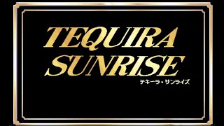 PC98 Tequira Sunrise  gameplay [upl. by Lupien320]