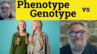 🔵 Phenotype vs Genotype Meaning  Phenotype or Genotype Examples  Genotype and Phenotype Definition [upl. by Elrae]