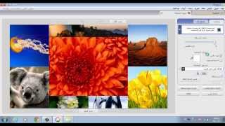 شرح مبسط لبرنامج Picasa 3 [upl. by Jb]