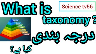 what is taxonomy in urdu hindi definition of taxonomy [upl. by Aehtla]