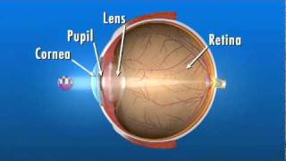 How the Eye Works [upl. by Orag]