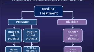 Medical Treatment fro Benign Prostatic Hyperplasia BPHLower Urinary Tract Symptoms LUTS [upl. by Notsur]