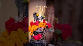 बाबा youtubeshorts shorts mahadev status whatsappstatus bhajan [upl. by Nnywg]