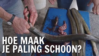 Hoe maak je paling schoon  De Buitendienst over Paling [upl. by Savill]