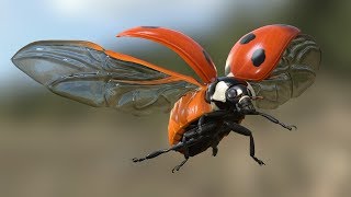 Ladybird Flight Test  3d model [upl. by Neal69]