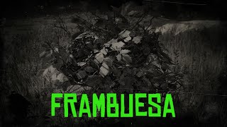 FRAMBUESA Red dead redemption 2 online localización Compendio [upl. by Tenaej436]