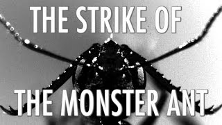 The Strike of the Monster Ant [upl. by Sutphin517]