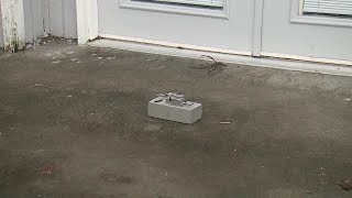 Blam Booby Trapped Box Scares off Porch Pirates [upl. by Noxaj]